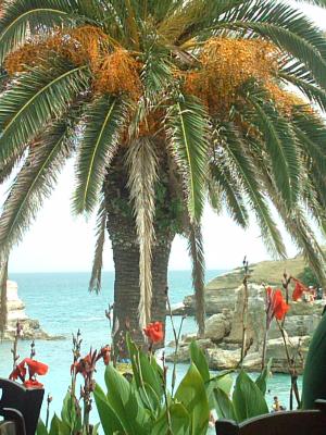 20060821194743-salento-010.jpg