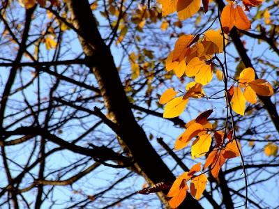 20061020160245-colori.jpg
